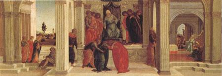Filippino Lippi Three Scenes from the Story of Esther Mardochus (mk05) Germany oil painting art